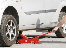 Gatos automotrices para su vehículo